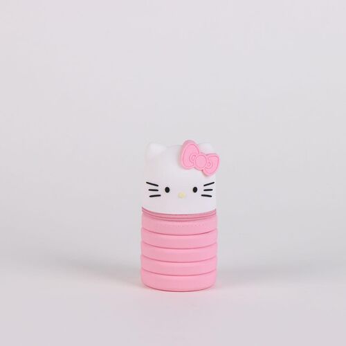 Hello Kitty assorted pencil case
