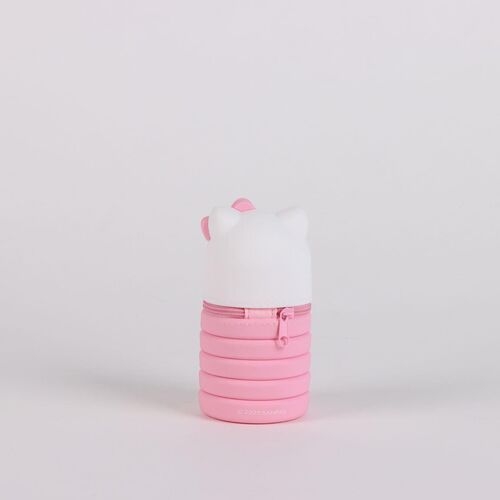 Hello Kitty assorted pencil case