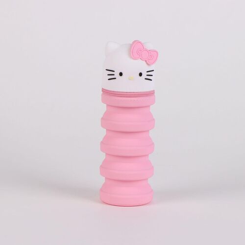 Hello Kitty assorted pencil case