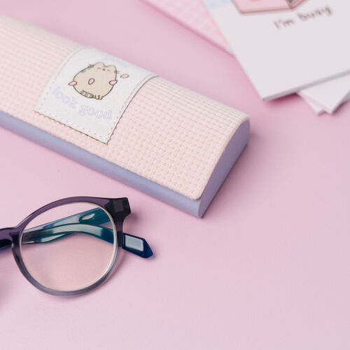 Pusheen glasses case