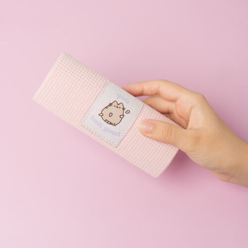 Pusheen glasses case