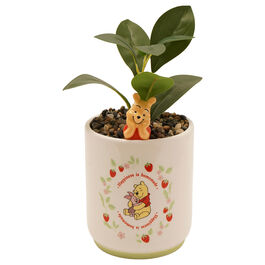 Disney Winnie the Pooh Winnie 3D planter