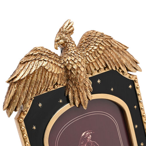 Harry Potter Fawkes photo frame