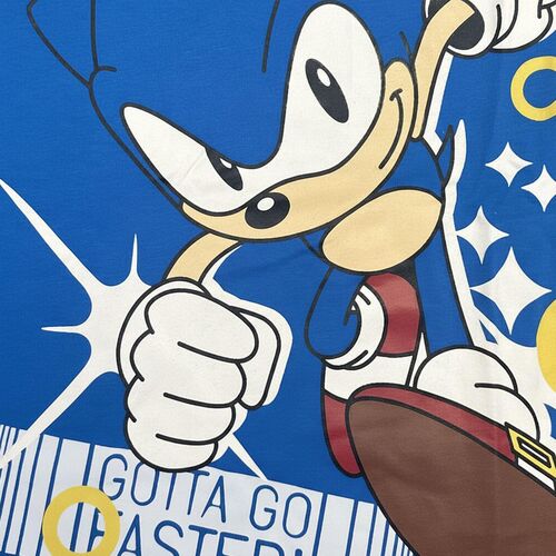 Conjunto Sonic the Hedgehog