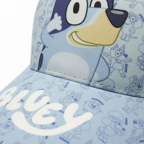 Bluey assorted cap