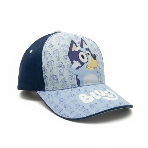 Bluey assorted cap