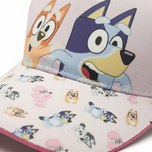 Bluey assorted cap