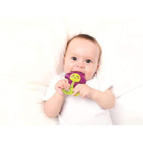 Flower refrigerated teether