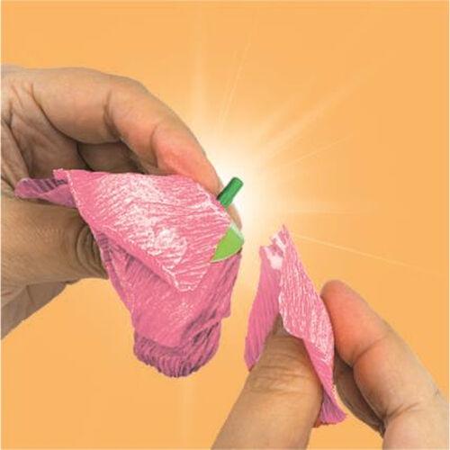 Idea Create Your Flowers Anemona Flower creator
