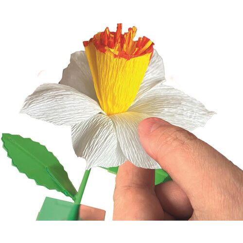 Idea Create Your Flowers Daffodil Flower creator